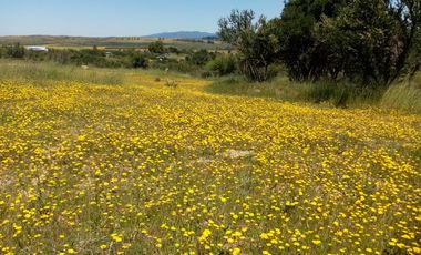 OPORTUNIDAD LINDA PARCELA EN VENTA SAN NICOLÁS ÑUBLE