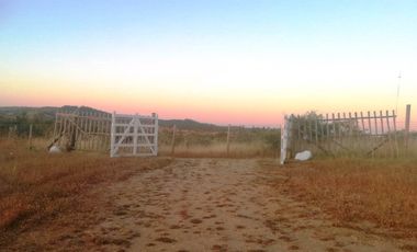 OPORTUNIDAD LINDA PARCELA EN VENTA SAN NICOLÁS ÑUBLE