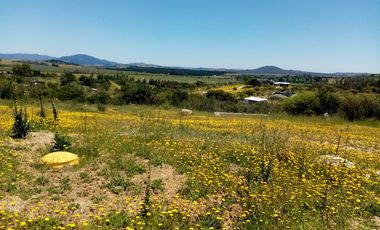 OPORTUNIDAD LINDA PARCELA EN VENTA SAN NICOLÁS ÑUBLE