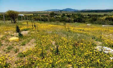 OPORTUNIDAD LINDA PARCELA EN VENTA SAN NICOLÁS ÑUBLE