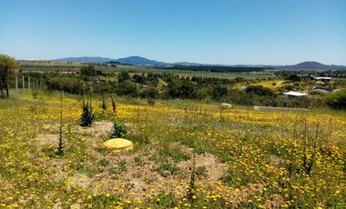 OPORTUNIDAD LINDA PARCELA EN VENTA SAN NICOLÁS ÑUBLE