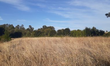 VENTA PARCELA 7022MTS Osorno