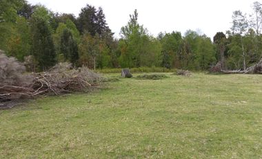 PARCELAS CUDICO 15 KM DE LICAN RAY, LINDO Y TRANQUILO SECTOR