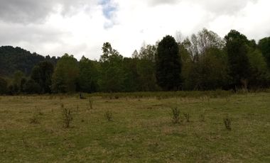 PARCELAS CUDICO 15 KM DE LICAN RAY, LINDO Y TRANQUILO SECTOR