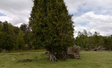 PARCELAS CUDICO 15 KM DE LICAN RAY, LINDO Y TRANQUILO SECTOR