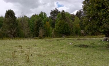 PARCELAS CUDICO 15 KM DE LICAN RAY, LINDO Y TRANQUILO SECTOR