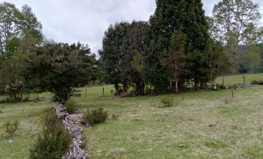 PARCELAS CUDICO 15 KM DE LICAN RAY, LINDO Y TRANQUILO SECTOR