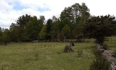 PARCELAS CUDICO 15 KM DE LICAN RAY, LINDO Y TRANQUILO SECTOR