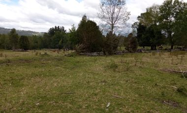 PARCELAS CUDICO 15 KM DE LICAN RAY, LINDO Y TRANQUILO SECTOR