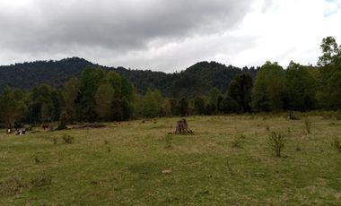 PARCELAS CUDICO 15 KM DE LICAN RAY, LINDO Y TRANQUILO SECTOR