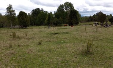 PARCELAS CUDICO 15 KM DE LICAN RAY, LINDO Y TRANQUILO SECTOR