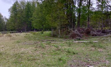 PARCELAS CUDICO 15 KM DE LICAN RAY, LINDO Y TRANQUILO SECTOR