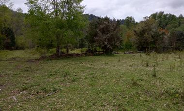 PARCELAS CUDICO 15 KM DE LICAN RAY, LINDO Y TRANQUILO SECTOR