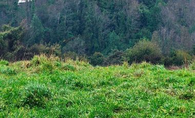 Agrícola en Venta en Chacra Ovejeria