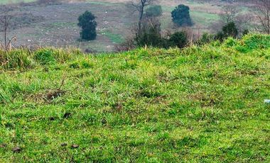 Agrícola en Venta en Chacra Ovejeria