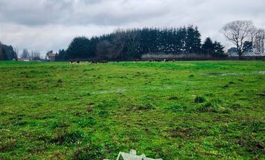 Agrícola en Venta en Chacra Ovejeria