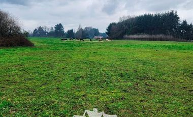 Agrícola en Venta en Chacra Ovejeria