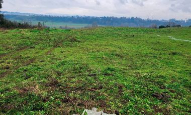 Agrícola en Venta en Chacra Ovejeria