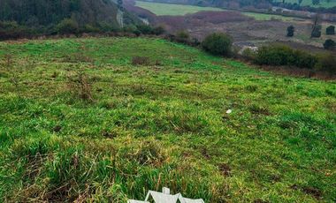Agrícola en Venta en Chacra Ovejeria