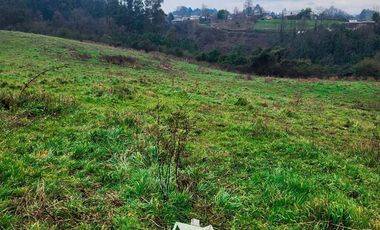 Terreno Construccion en Venta en Chacra Ovejeria