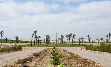 TERRENOS EN CONDOMINIO ACCA - PARACAS