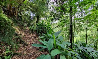 Finca plana, 5 minutos de San Antonio de Prado y muy cerca a Medellin