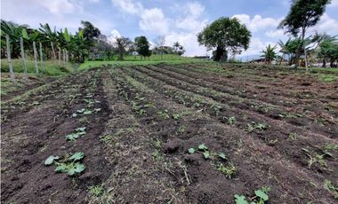 Finca plana, 5 minutos de San Antonio de Prado y muy cerca a Medellin
