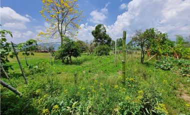 Finca plana, 5 minutos de San Antonio de Prado y muy cerca a Medellin