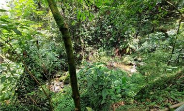 Finca plana, 5 minutos de San Antonio de Prado y muy cerca a Medellin