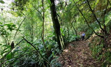 Finca plana, 5 minutos de San Antonio de Prado y muy cerca a Medellin