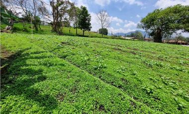 Finca plana, 5 minutos de San Antonio de Prado y muy cerca a Medellin