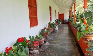 Finca plana, 5 minutos de San Antonio de Prado y muy cerca a Medellin