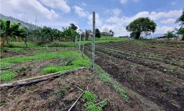 Finca plana, 5 minutos de San Antonio de Prado y muy cerca a Medellin