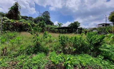 Finca plana, 5 minutos de San Antonio de Prado y muy cerca a Medellin