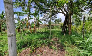 Finca plana, 5 minutos de San Antonio de Prado y muy cerca a Medellin