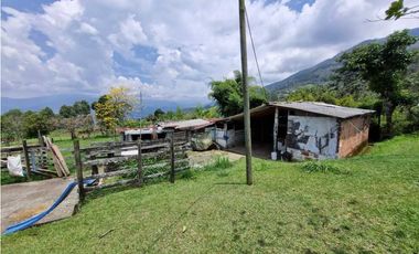 Finca plana, 5 minutos de San Antonio de Prado y muy cerca a Medellin
