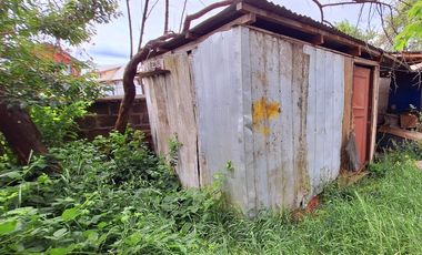 SECTOR TENIENTE MERINO