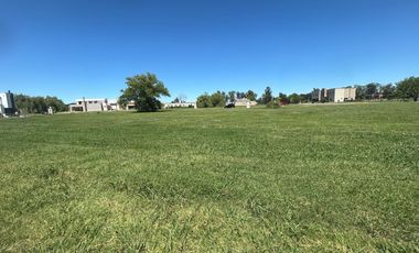 Terreno EN BARRIO SAN ELISEO