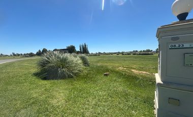 Terreno EN BARRIO SAN ELISEO