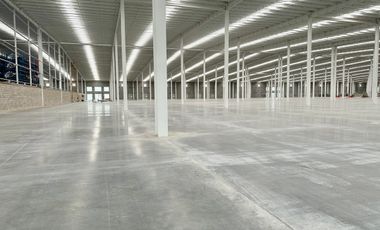 Bodega en renta en el Salto