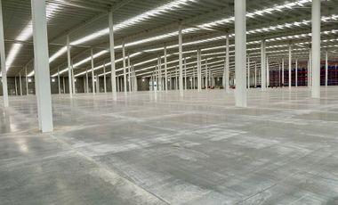 Bodega en renta en el Salto