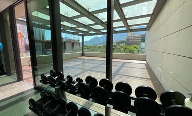 DEPARTAMENTO EN RENTA EN TORRE LEVANA