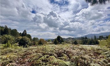 Vendo hermoso lote Alto de las Palmas en parcelación