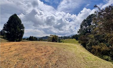 Vendo hermoso lote Alto de las Palmas en parcelación