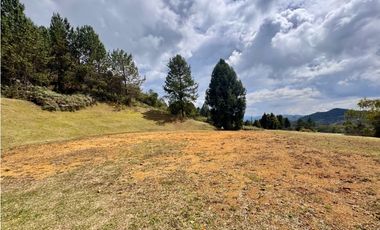 Vendo hermoso lote Alto de las Palmas en parcelación