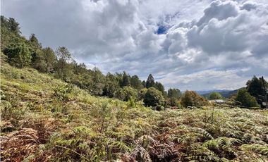 Vendo hermoso lote Alto de las Palmas en parcelación
