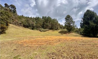 Vendo hermoso lote Alto de las Palmas en parcelación