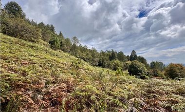 Vendo hermoso lote Alto de las Palmas en parcelación