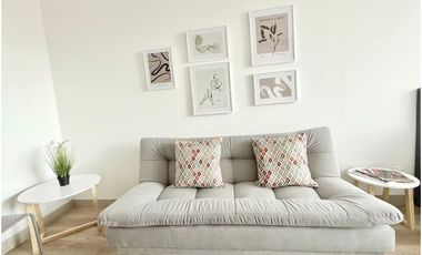 Chico Hermoso Apartamento Amoblado