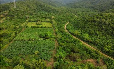 FINCA EN VENTA, LURUACO, ATLANTICO